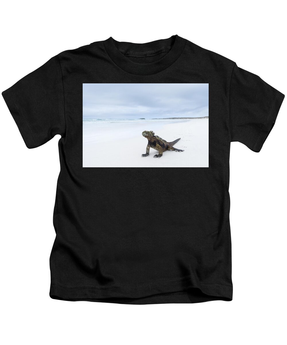 Tui De Roy Kids T-Shirt featuring the photograph Marine Iguana Turtle Bay Santa Cruz #1 by Tui De Roy