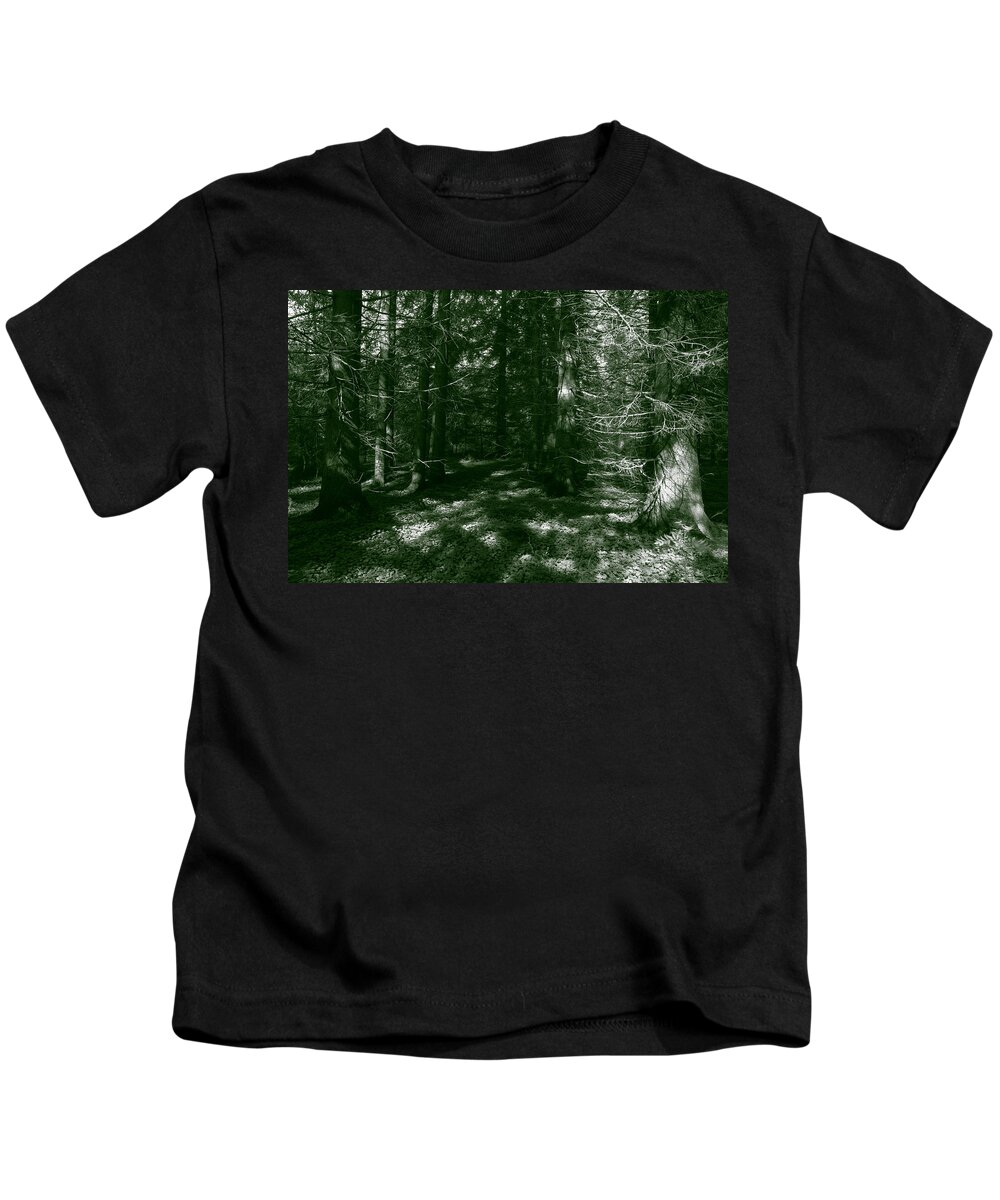 Away From It All Kids T-Shirt featuring the photograph Mysterious forest #1 by Ulrich Kunst And Bettina Scheidulin