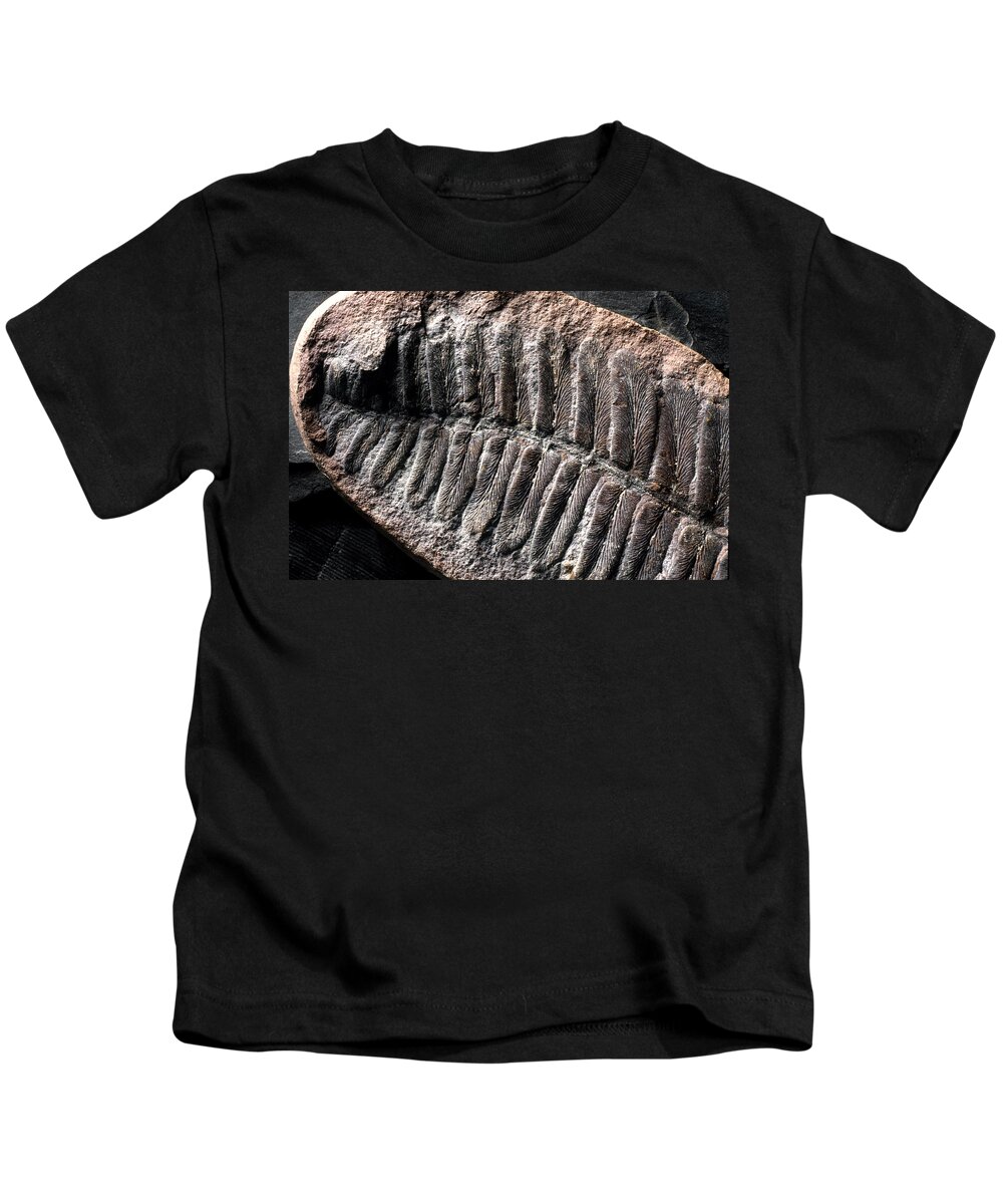Ancient Kids T-Shirt featuring the photograph Neuropteris Fossil #1 by Theodore Clutter