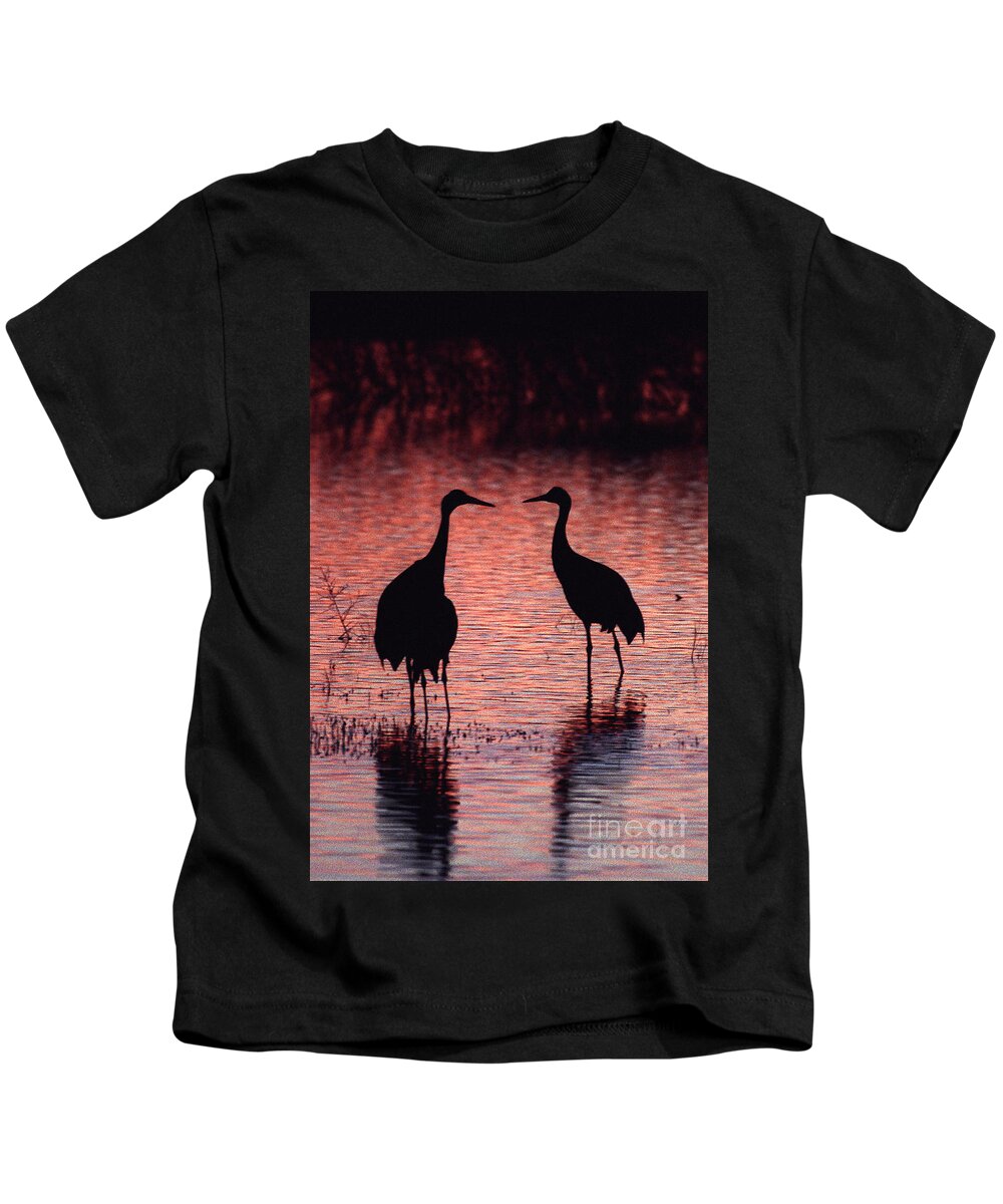 Birds Kids T-Shirt featuring the photograph Sandhill cranes by Steven Ralser