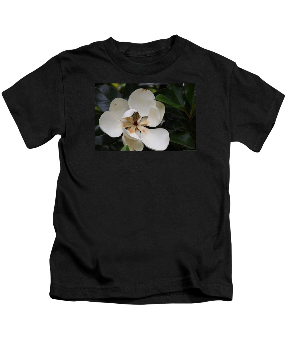 Magnolia Kids T-Shirt featuring the photograph White Magnolia by Christiane Schulze Art And Photography