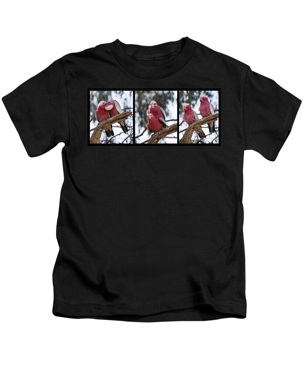 Eolophus Roseicapilla Kids T-Shirt featuring the photograph Galahs by Steven Ralser