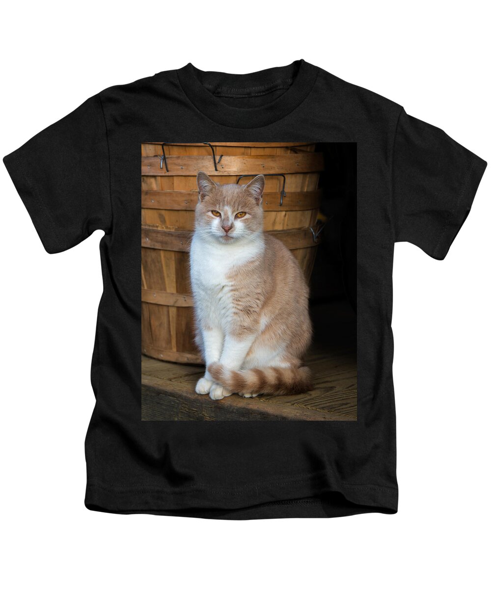 Holmdel Park Kids T-Shirt featuring the photograph A Cats Stare by Gary Slawsky