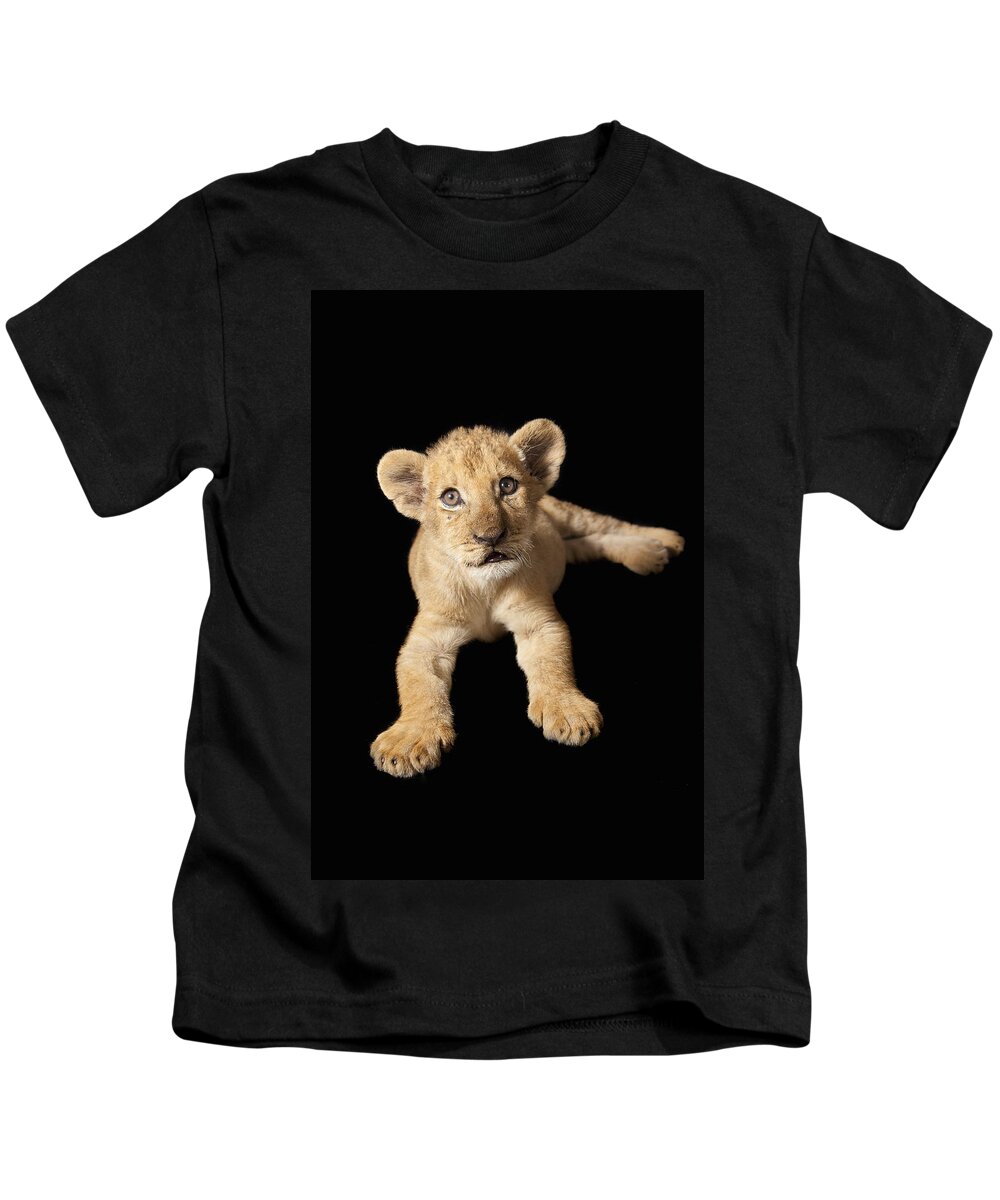 Feb0514 Kids T-Shirt featuring the photograph African Lion Cub Zimbabwe by Michael Durham
