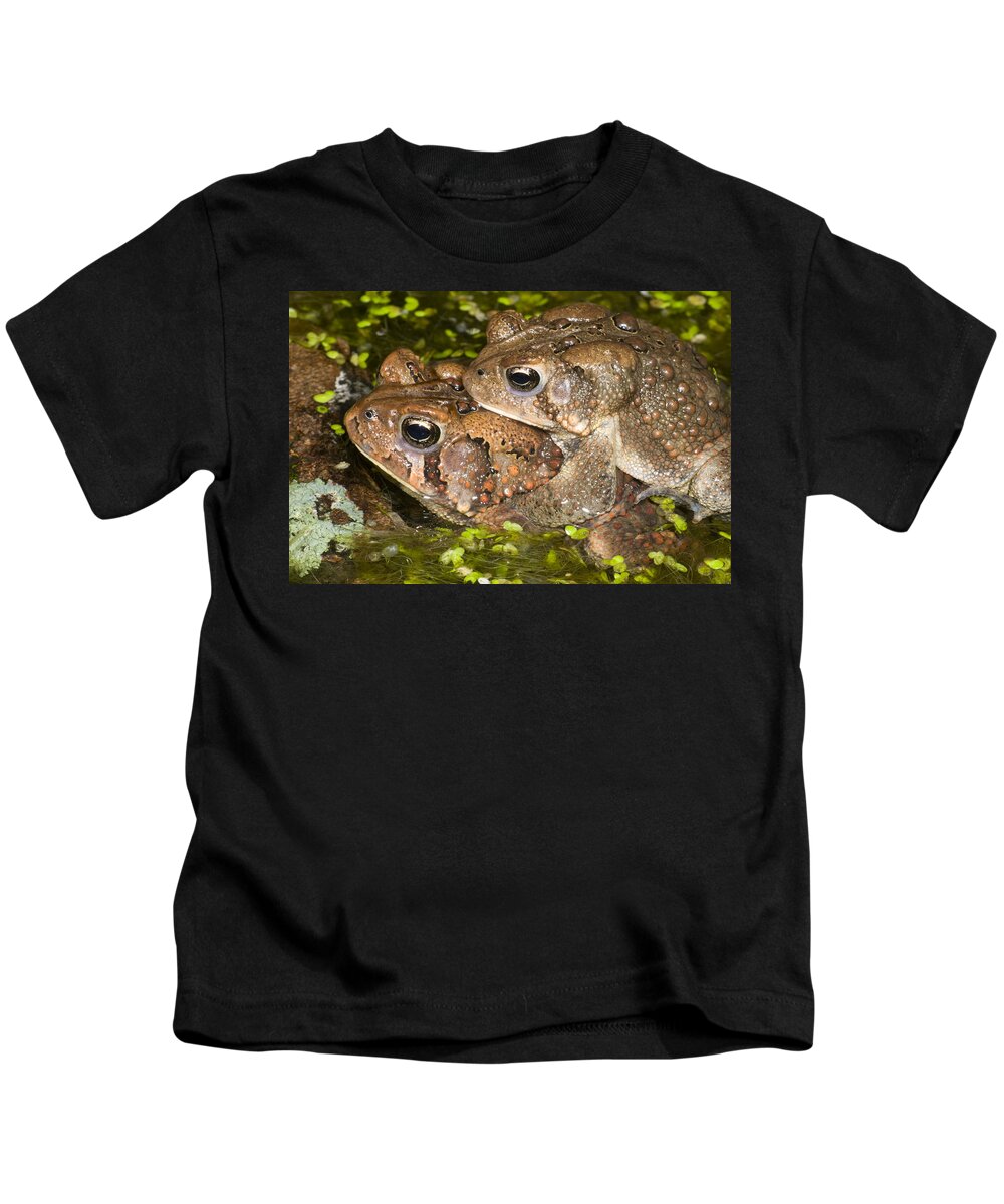 535847 Kids T-Shirt featuring the photograph American Toads In Amplexus Michigan by Steve Gettle