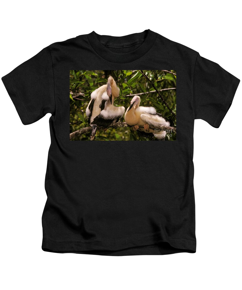 Animal Kids T-Shirt featuring the photograph Anhinga Chicks by Ron Sanford