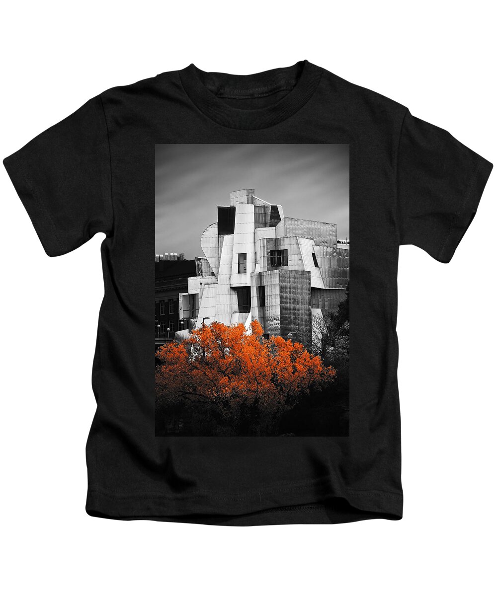Blumwurks Kids T-Shirt featuring the photograph autumn at the Weisman by Matthew Blum