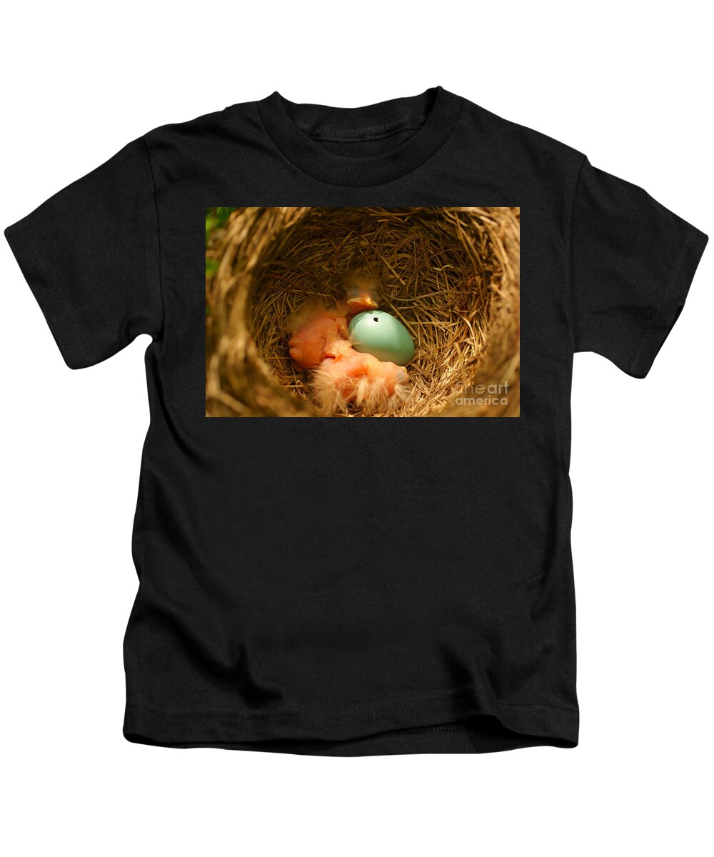 Robins Kids T-Shirt featuring the photograph Baby Robins2 by Loni Collins