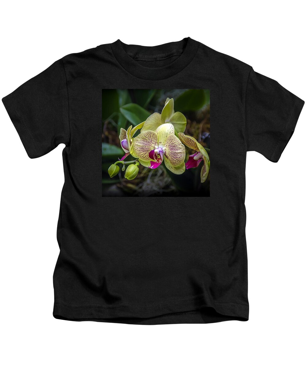 Orchids Kids T-Shirt featuring the photograph Beauty of Orchids 3 by Julie Palencia