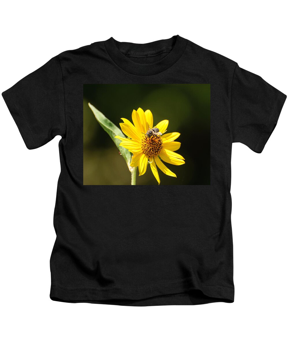 Flower Kids T-Shirt featuring the photograph Bee flower by John Johnson