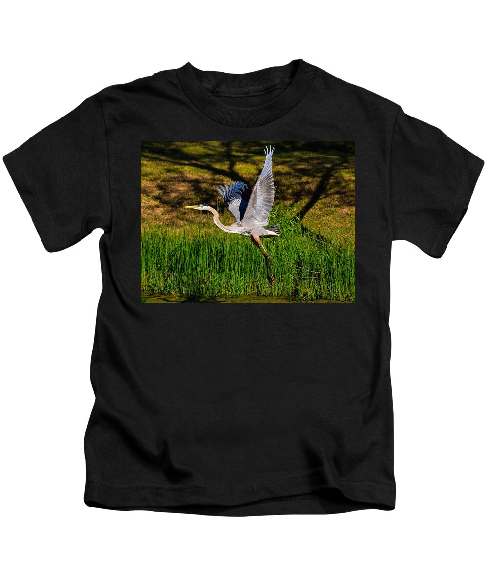Blue Heron Kids T-Shirt featuring the photograph Blue Heron in flight by John Johnson