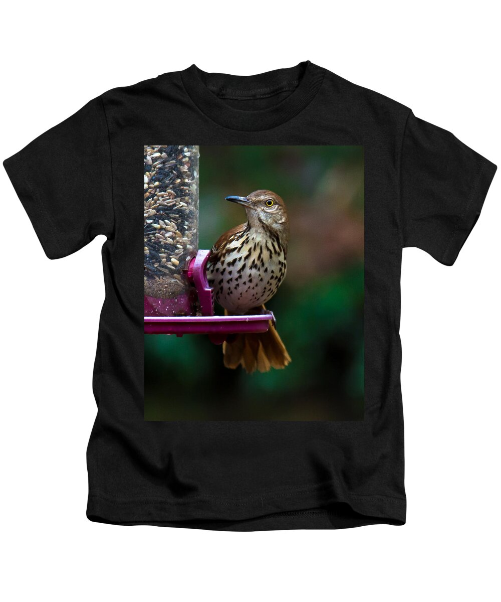 Brown Thrasher Kids T-Shirt featuring the photograph Brown Thrasher - State Bird of Georgia by Robert L Jackson
