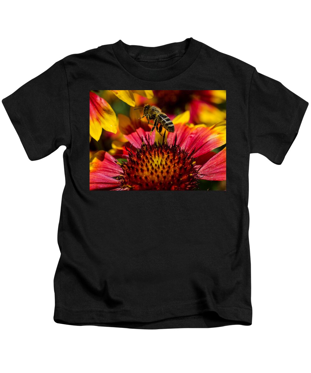 Busy Bee Buzzing Kids T-Shirt featuring the photograph Busy Buzzing Bee by Jordan Blackstone