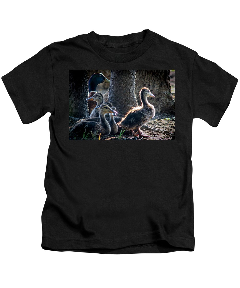 Ducks Kids T-Shirt featuring the photograph Curiosity by Jeff Mize