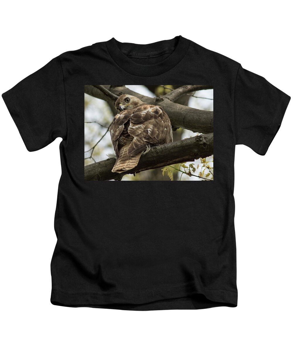 Red Tail Hawk Kids T-Shirt featuring the photograph Curious Red Tail Hawk in the Spring Forest by Georgia Mizuleva