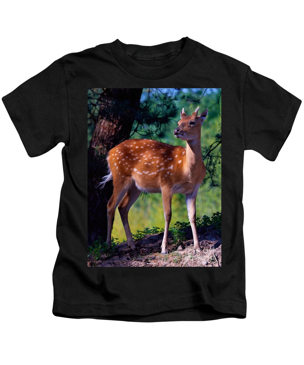 Deer Kids T-Shirt featuring the photograph Deer in the woods by Nick Biemans