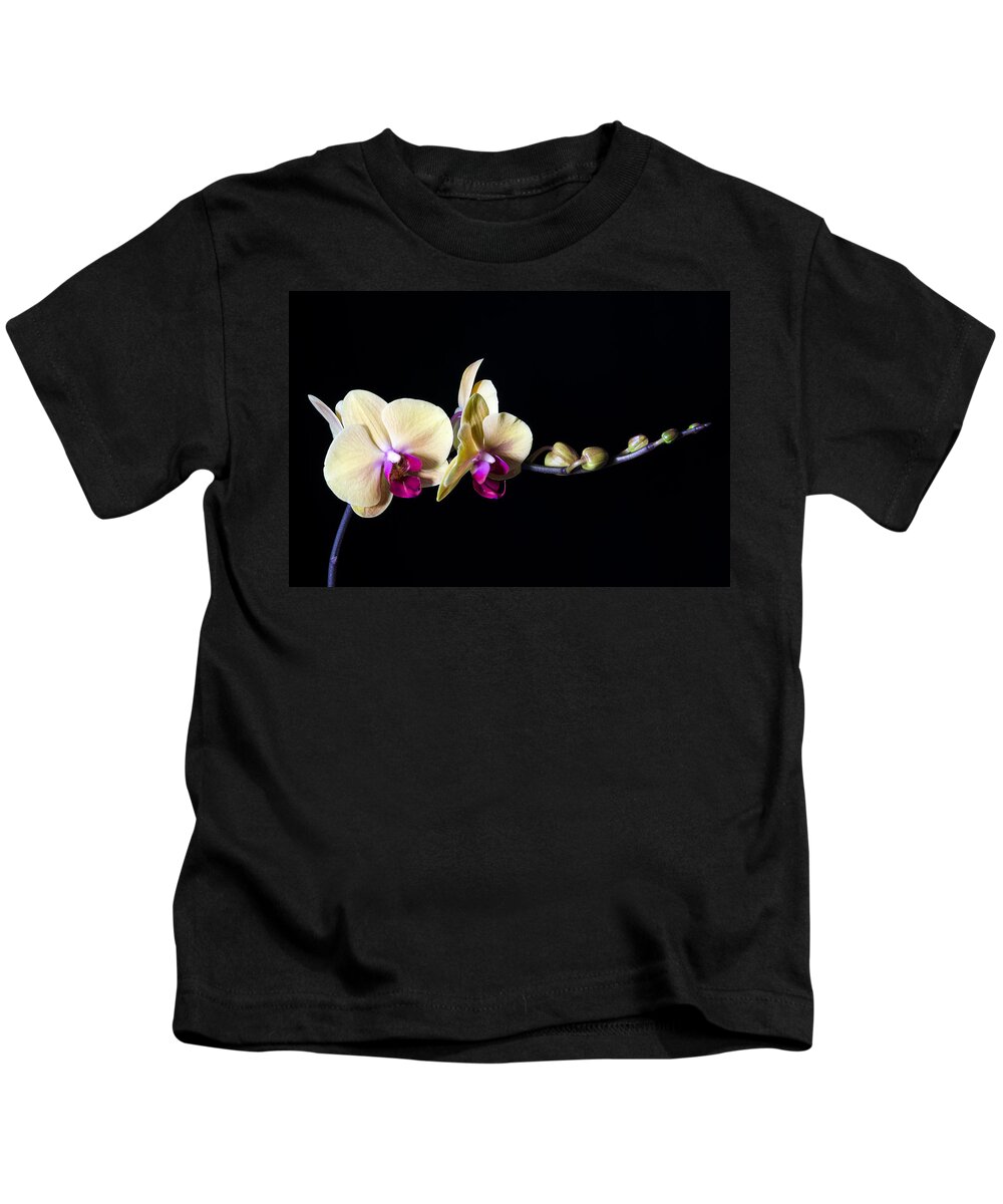 Orchids Kids T-Shirt featuring the photograph Elegance in Bloom by Georgette Grossman