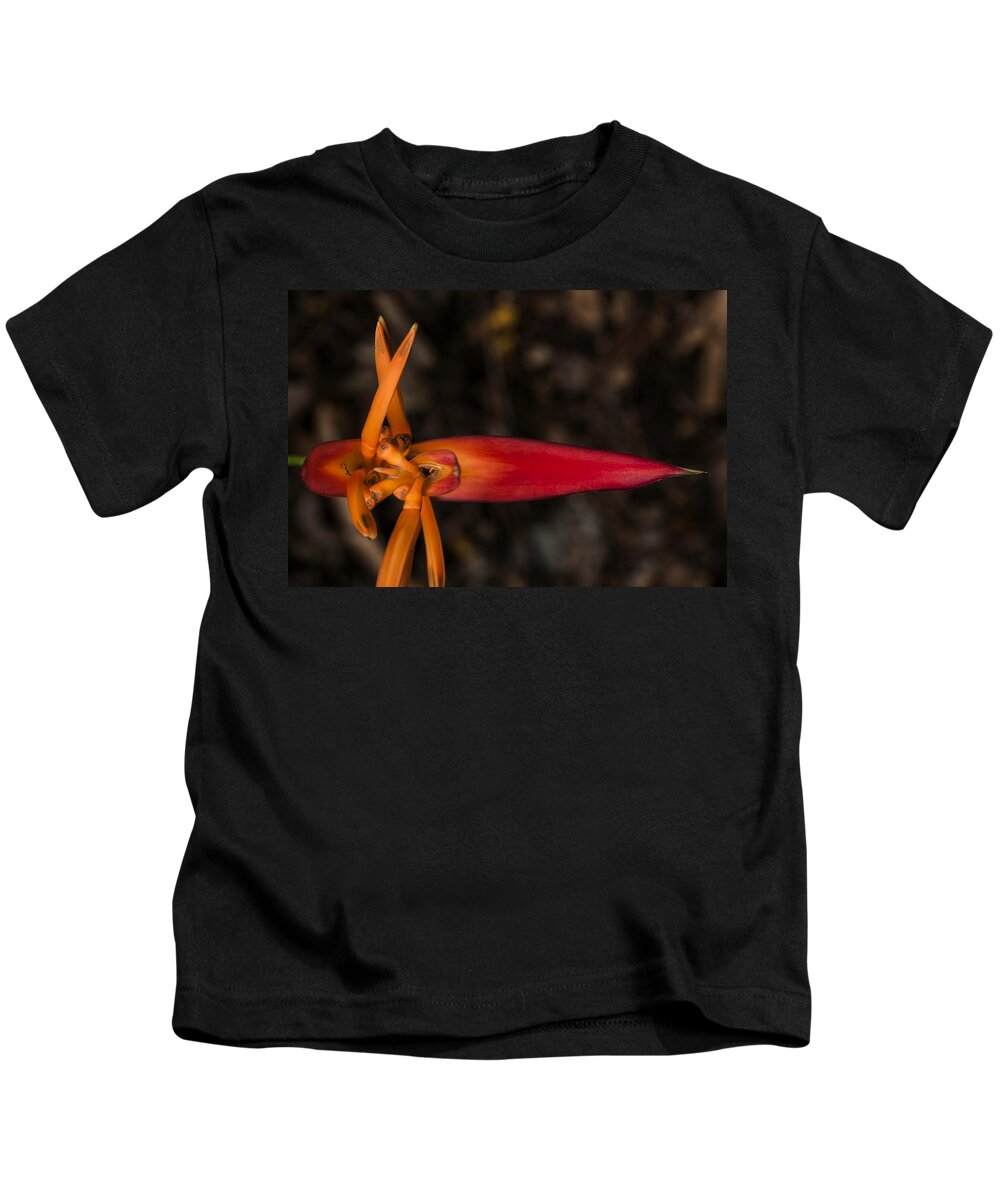 Flower Kids T-Shirt featuring the photograph Exotic Heliconia by Steven Sparks