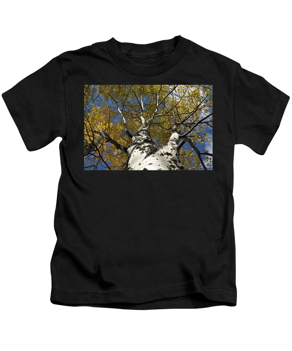 Gold Kids T-Shirt featuring the photograph Fall Aspen by Frank Madia