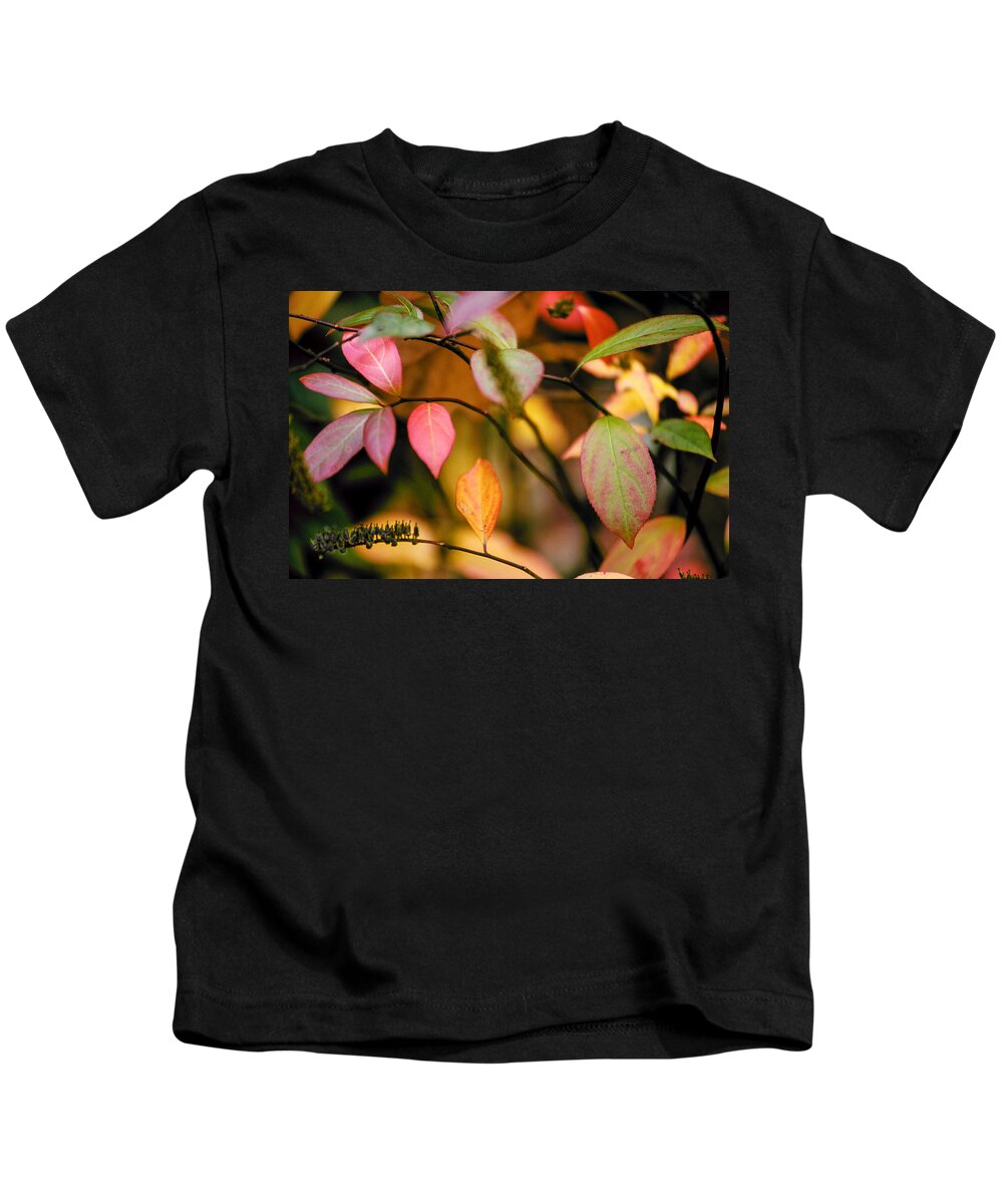 Autumn Kids T-Shirt featuring the photograph Fall Leaves by Matthew Pace