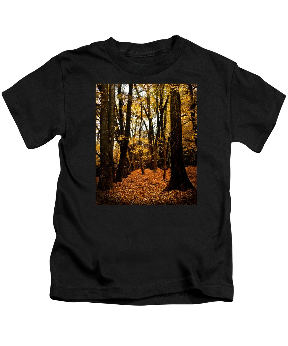 Bidwell Park Kids T-Shirt featuring the photograph Fall Scene In Bidwell Park by Robert Woodward