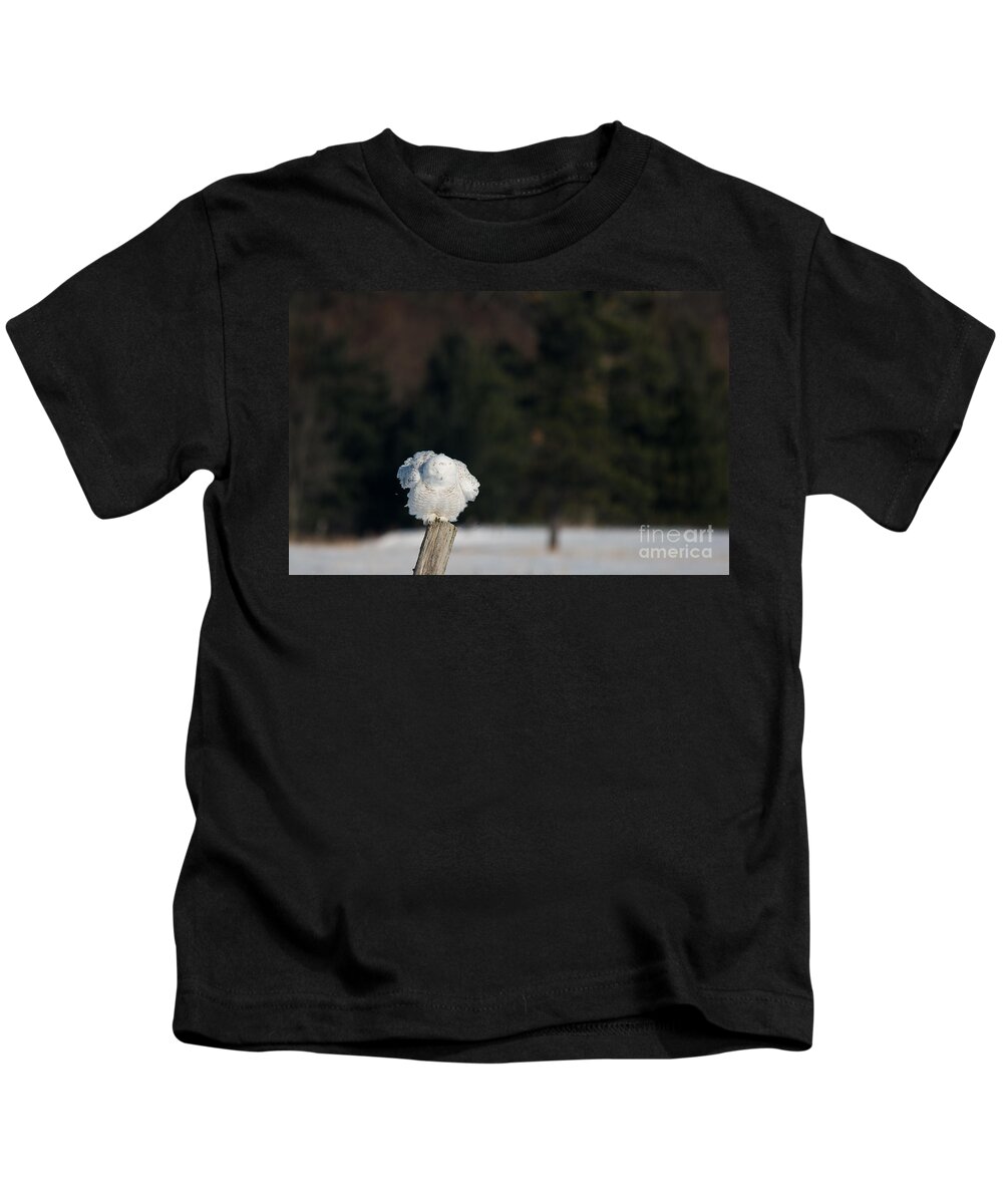 Snowy Owl Kids T-Shirt featuring the photograph Fluffing on a Fence Post by Cheryl Baxter