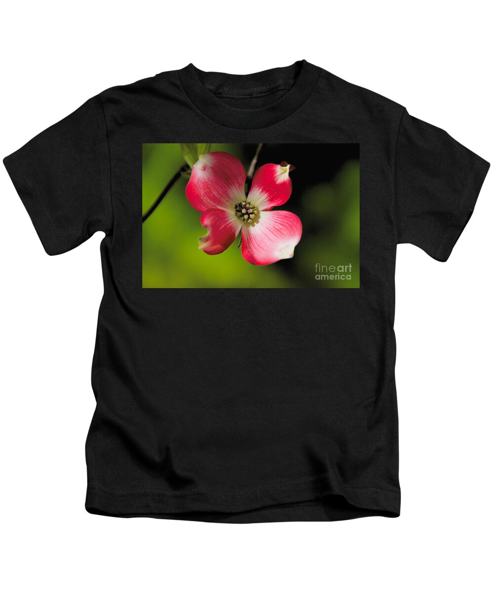 Fruit Tree Kids T-Shirt featuring the photograph Fruit Tree Flower by William Norton