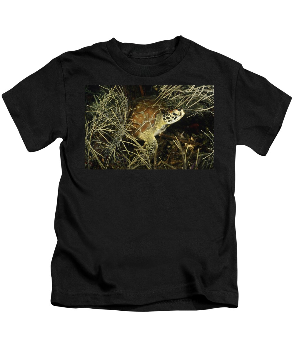 Angle Kids T-Shirt featuring the photograph Green Turtle In Soft Corals by Sandra Edwards