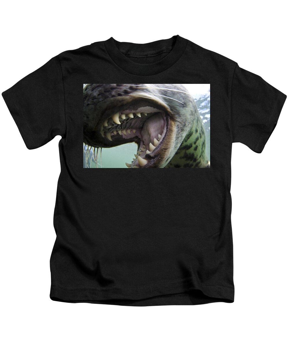 Flpa Kids T-Shirt featuring the photograph Grey Seal Pup Mouthing Camera Farne by Jack Perks