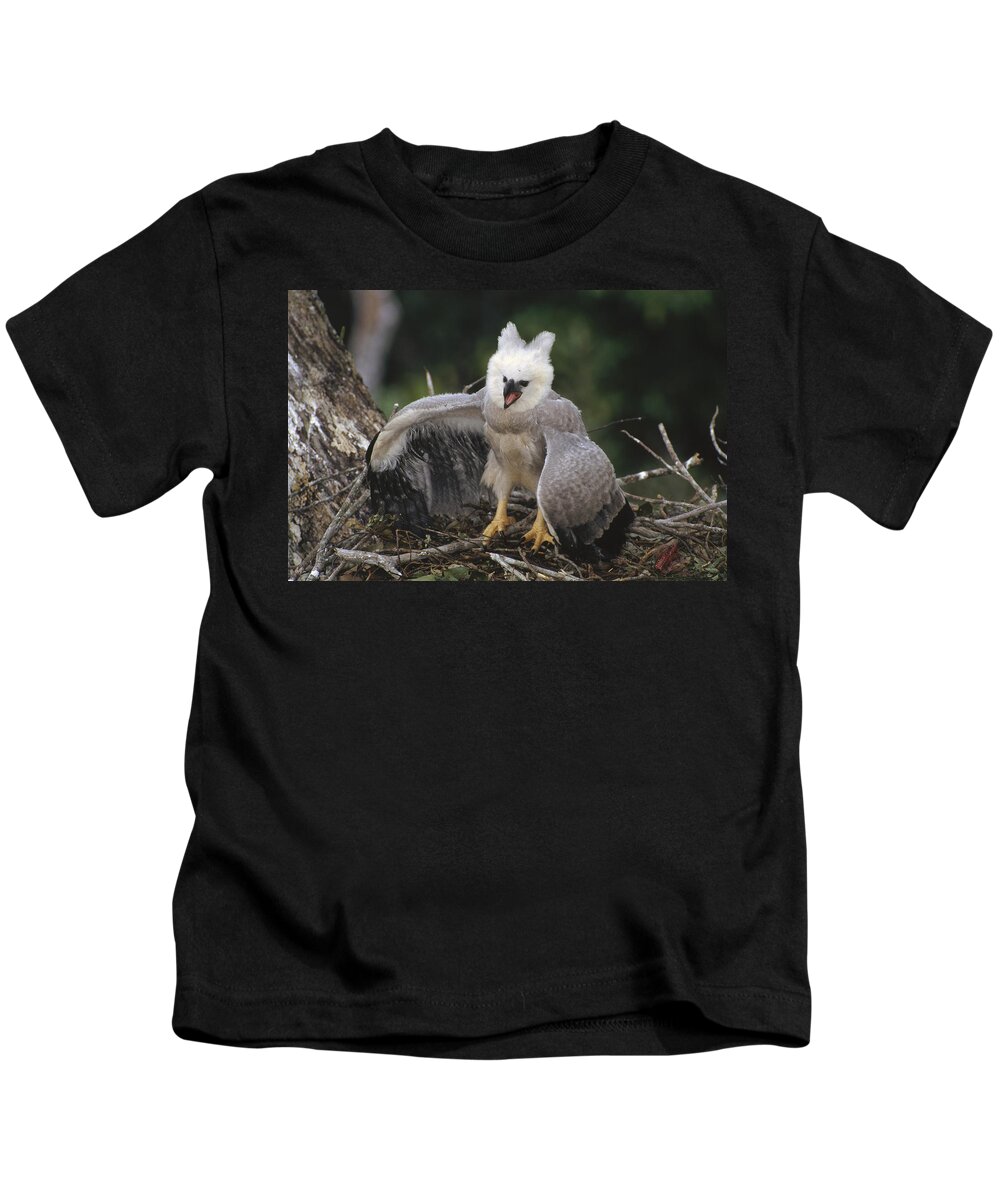 Feb0514 Kids T-Shirt featuring the photograph Harpy Eagle Threat Posture Amazonian by Tui De Roy