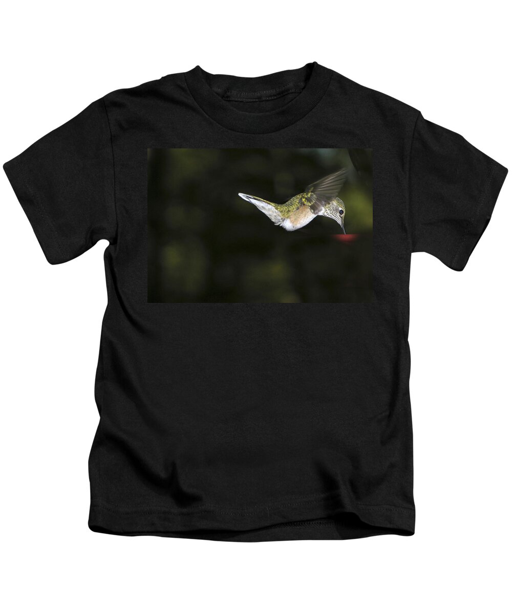 Hummingbird Kids T-Shirt featuring the photograph Hovering Beauty by Ron White