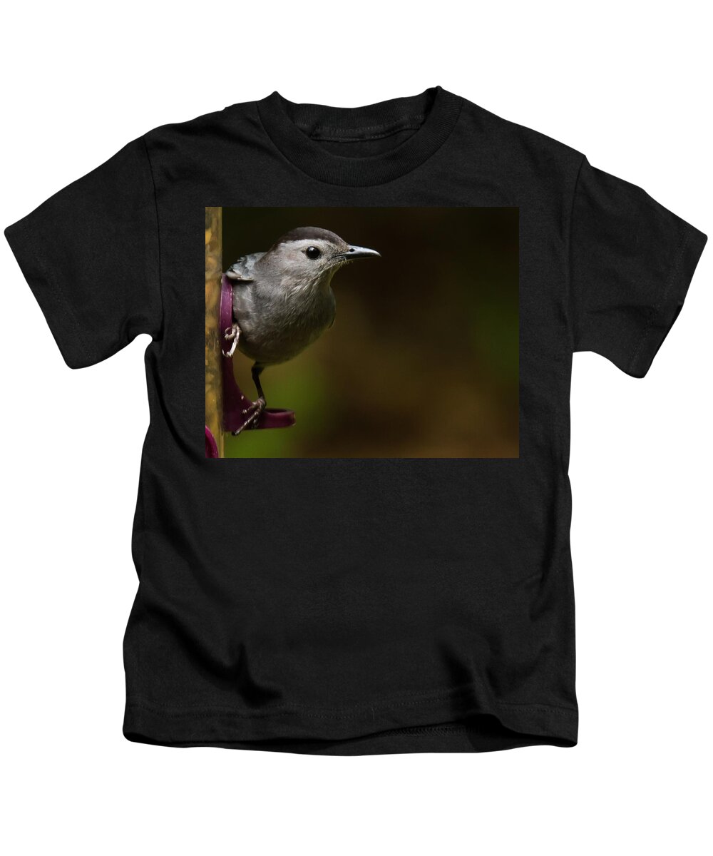 Gray Catbird Kids T-Shirt featuring the photograph I'm a cat bird and I sound like one too by Robert L Jackson