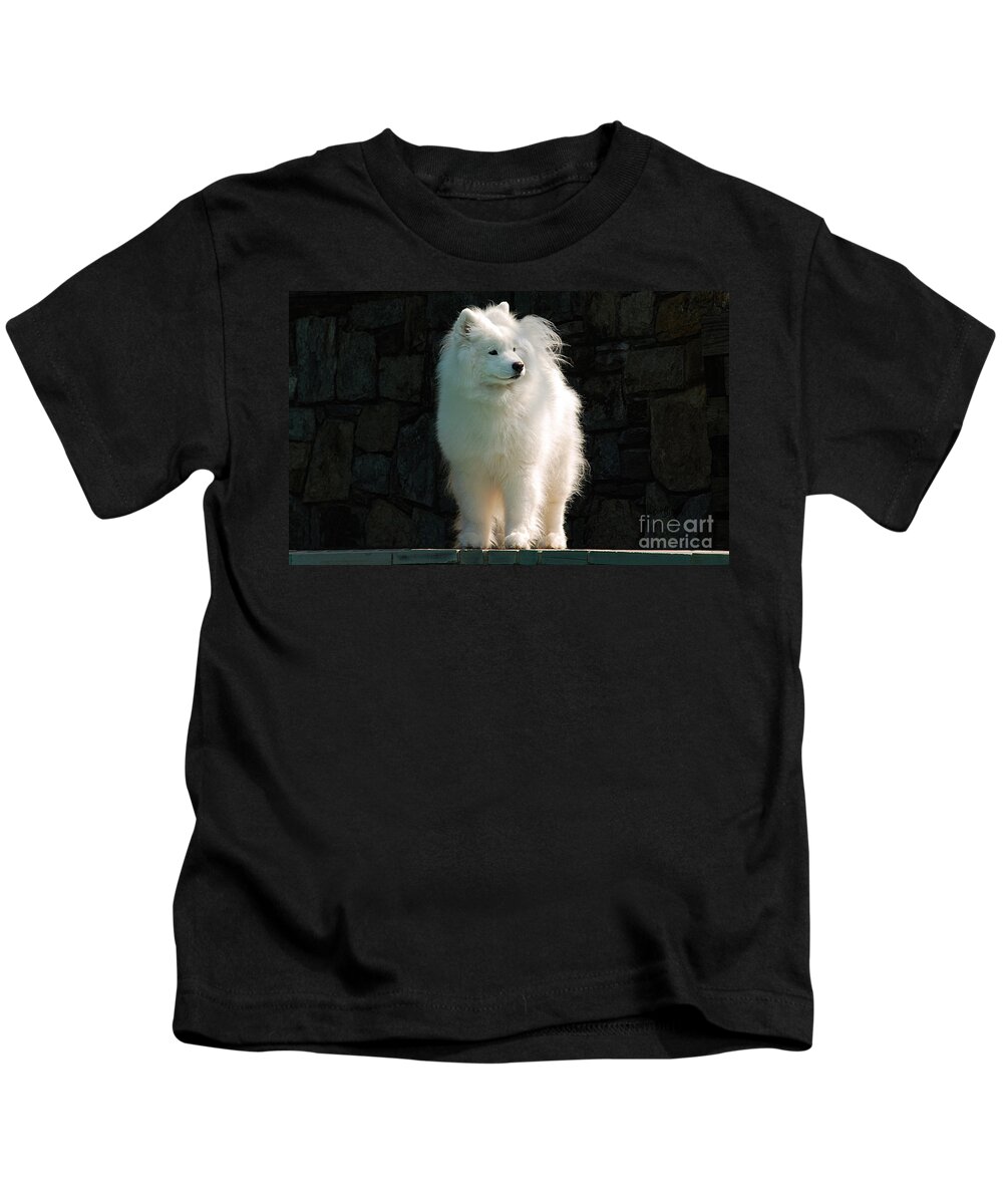 Dog Kids T-Shirt featuring the photograph Intent by Lois Bryan