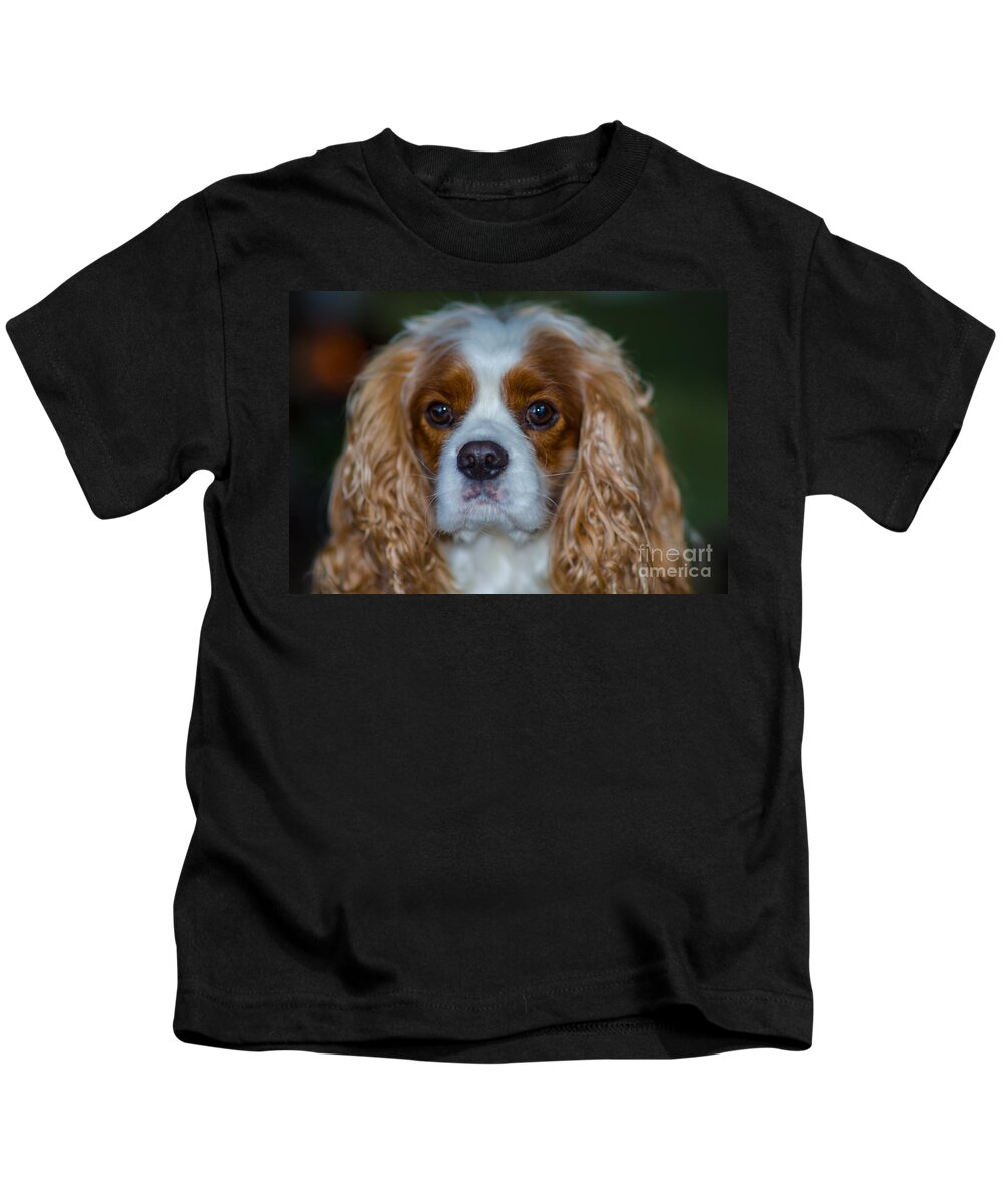Cavalier King Charles Spaniel Kids T-Shirt featuring the photograph King Charles by Dale Powell