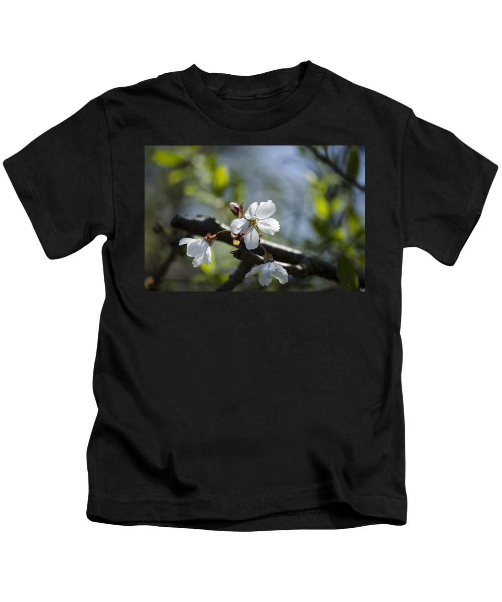 Green Kids T-Shirt featuring the photograph Late Spring Blossom by Spikey Mouse Photography