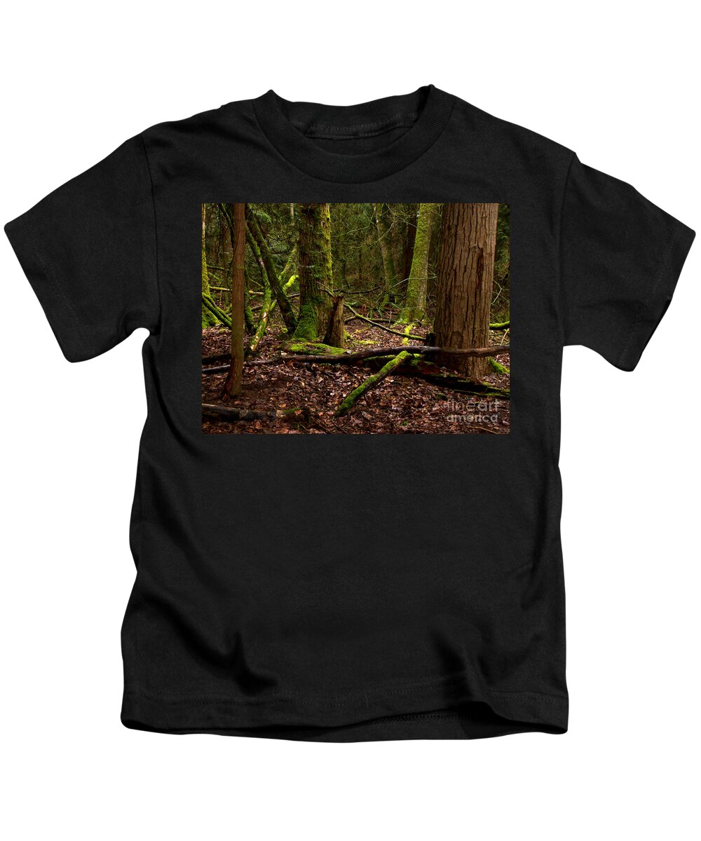Forest Kids T-Shirt featuring the photograph Lush Green Forest by Mary Mikawoz