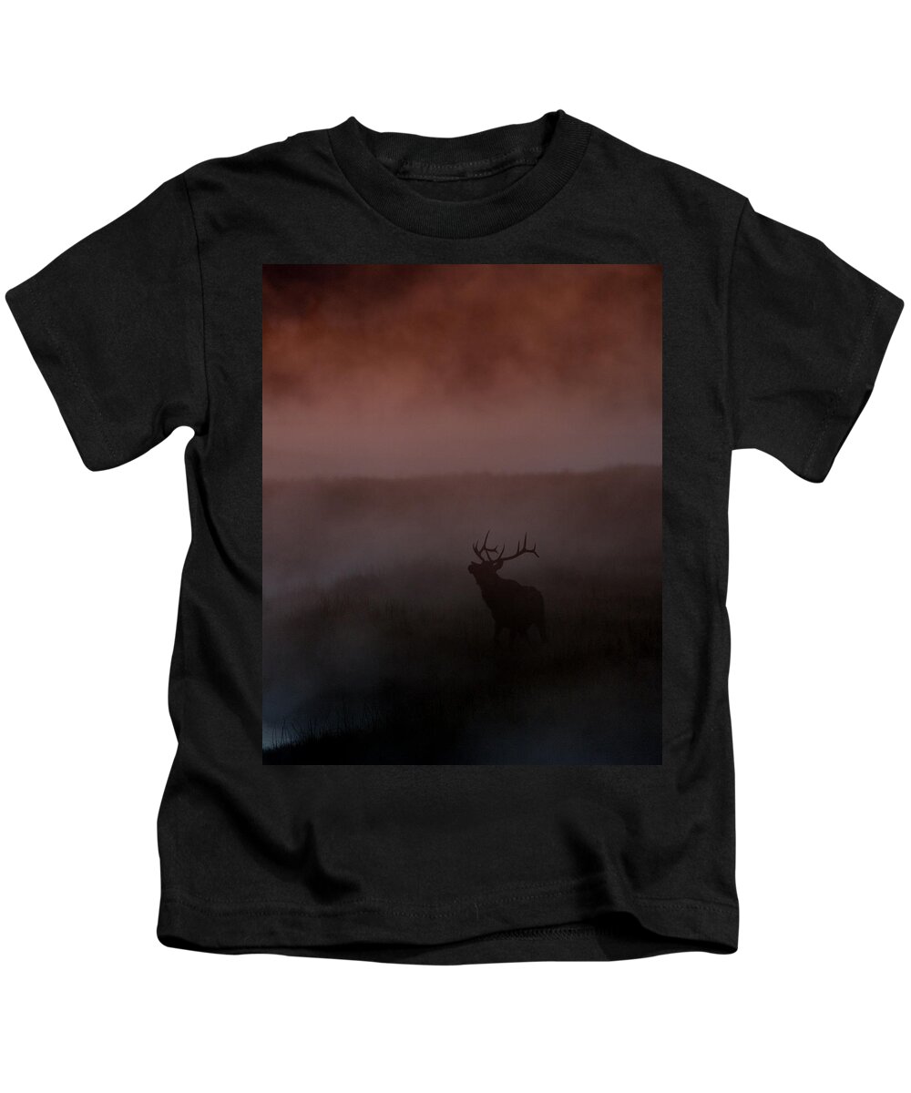  Bull Kids T-Shirt featuring the photograph Misty Morning Elk by Gary Langley