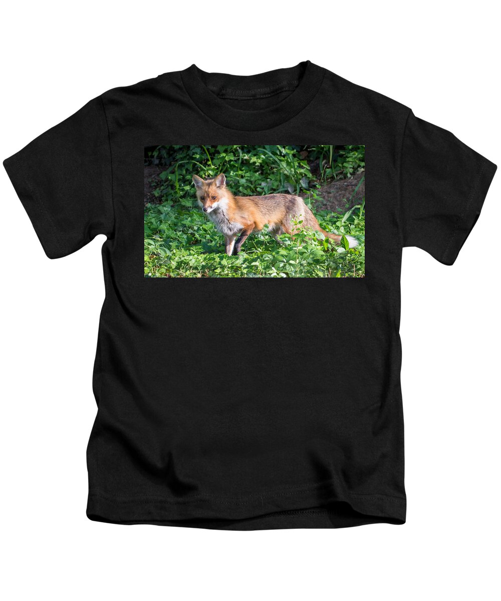Young Kids T-Shirt featuring the photograph Momma Fox by Stacy Abbott