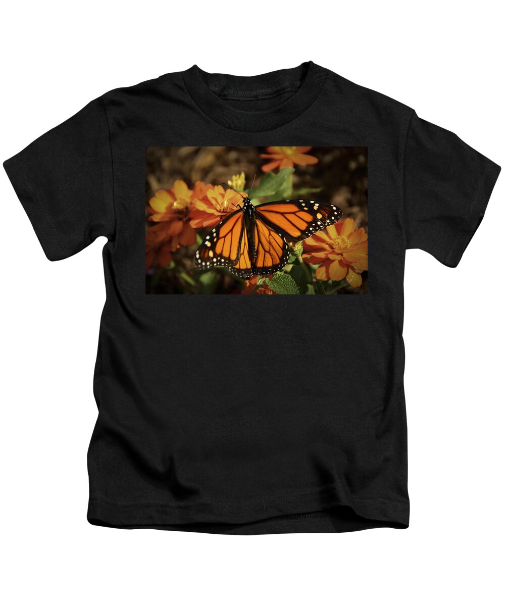 Pennysprints Kids T-Shirt featuring the photograph Monarch Spotlight. by Penny Lisowski