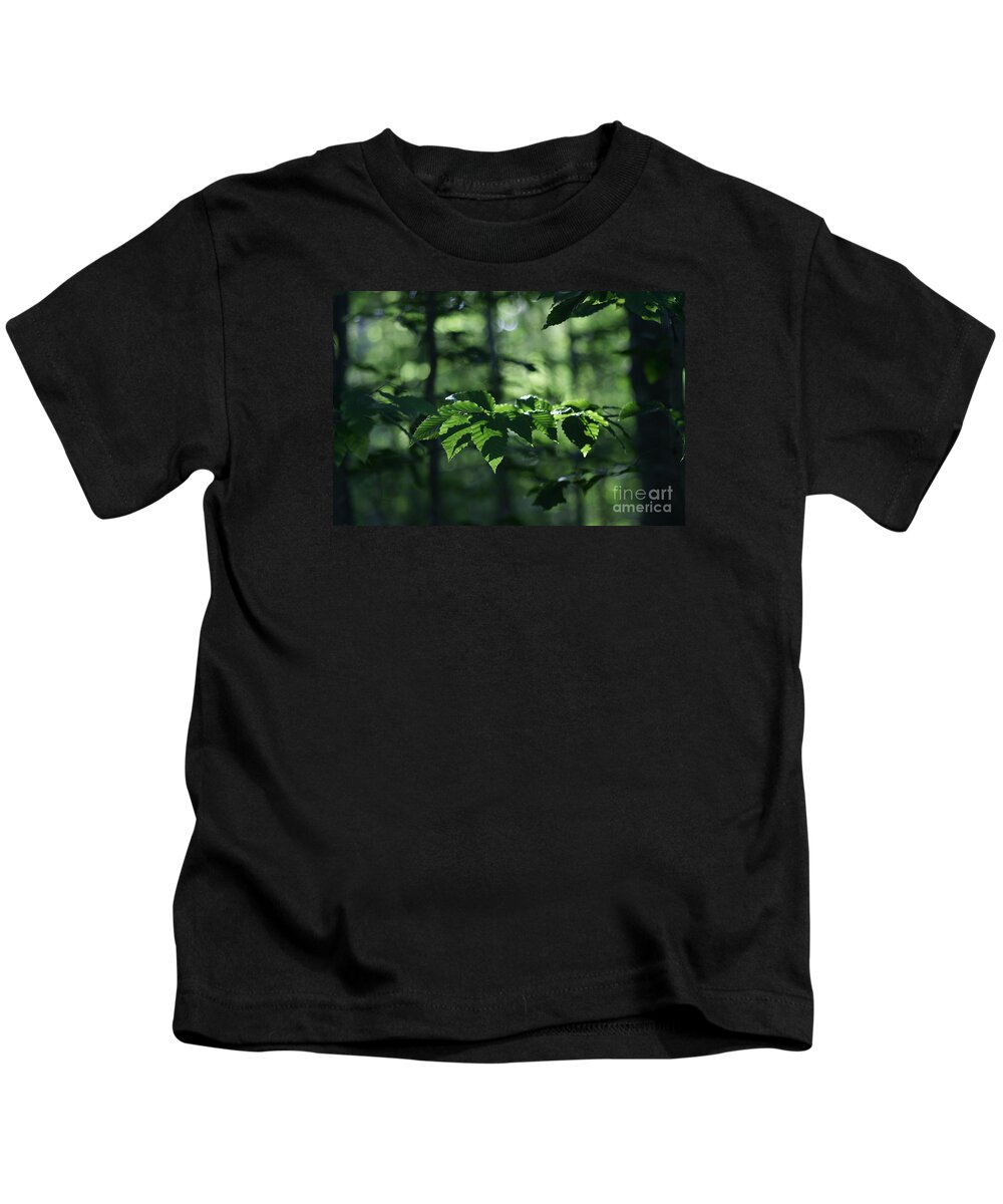 Woods Kids T-Shirt featuring the photograph Never Far From My Thoughts by Linda Shafer