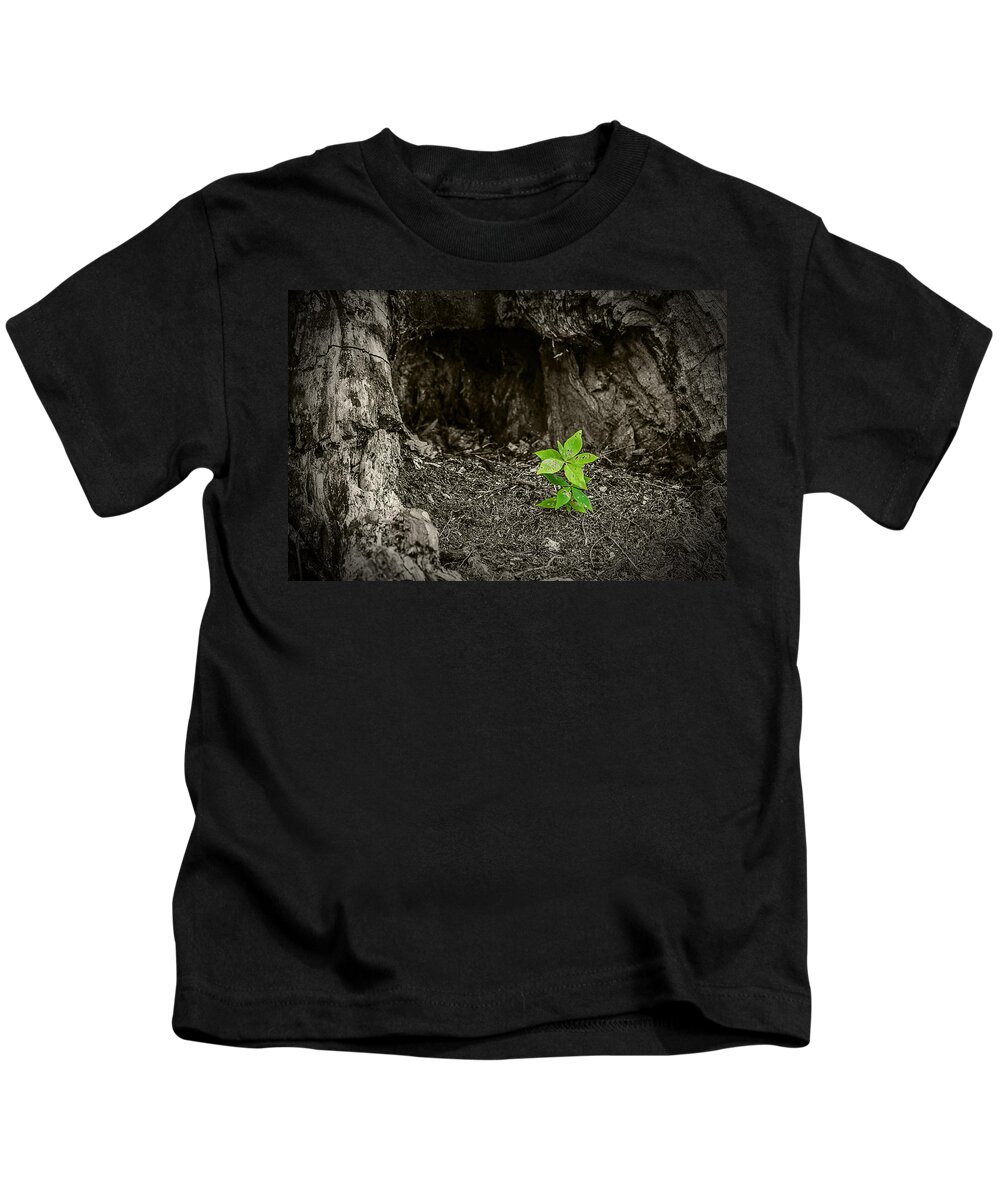 New Growth Kids T-Shirt featuring the photograph New Growth by Rick Bartrand