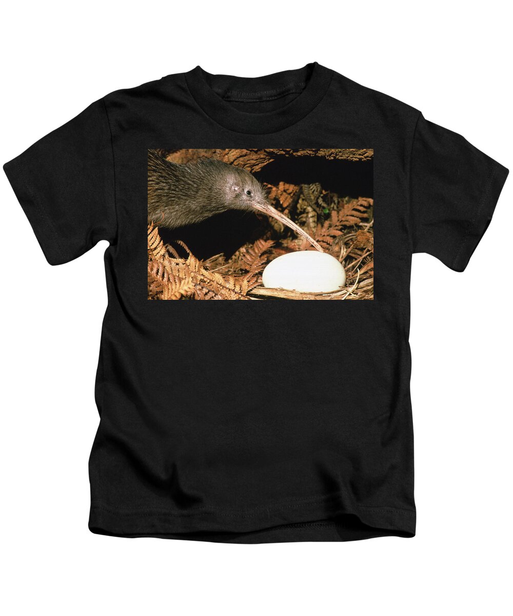 Feb0514 Kids T-Shirt featuring the photograph North Island Brown Kiwi With Egg New by Mark Jones