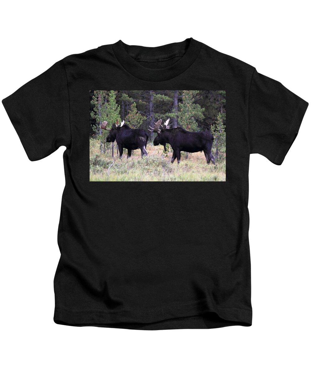 Moose Kids T-Shirt featuring the photograph Only A Step Behind by Shane Bechler