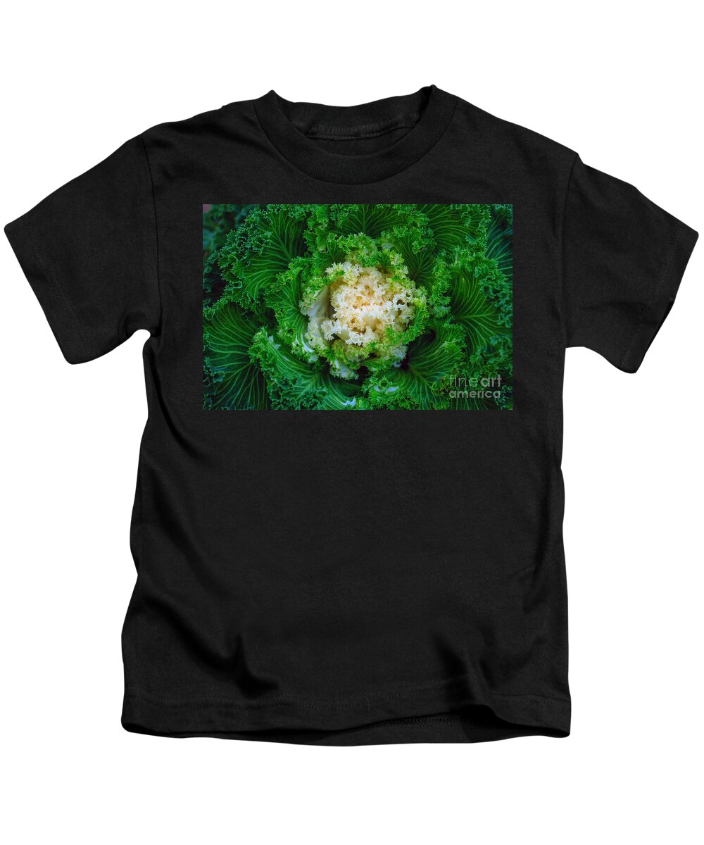 Ornamental Cabbage Kids T-Shirt featuring the photograph Ornamental Cabbage by Tikvah's Hope