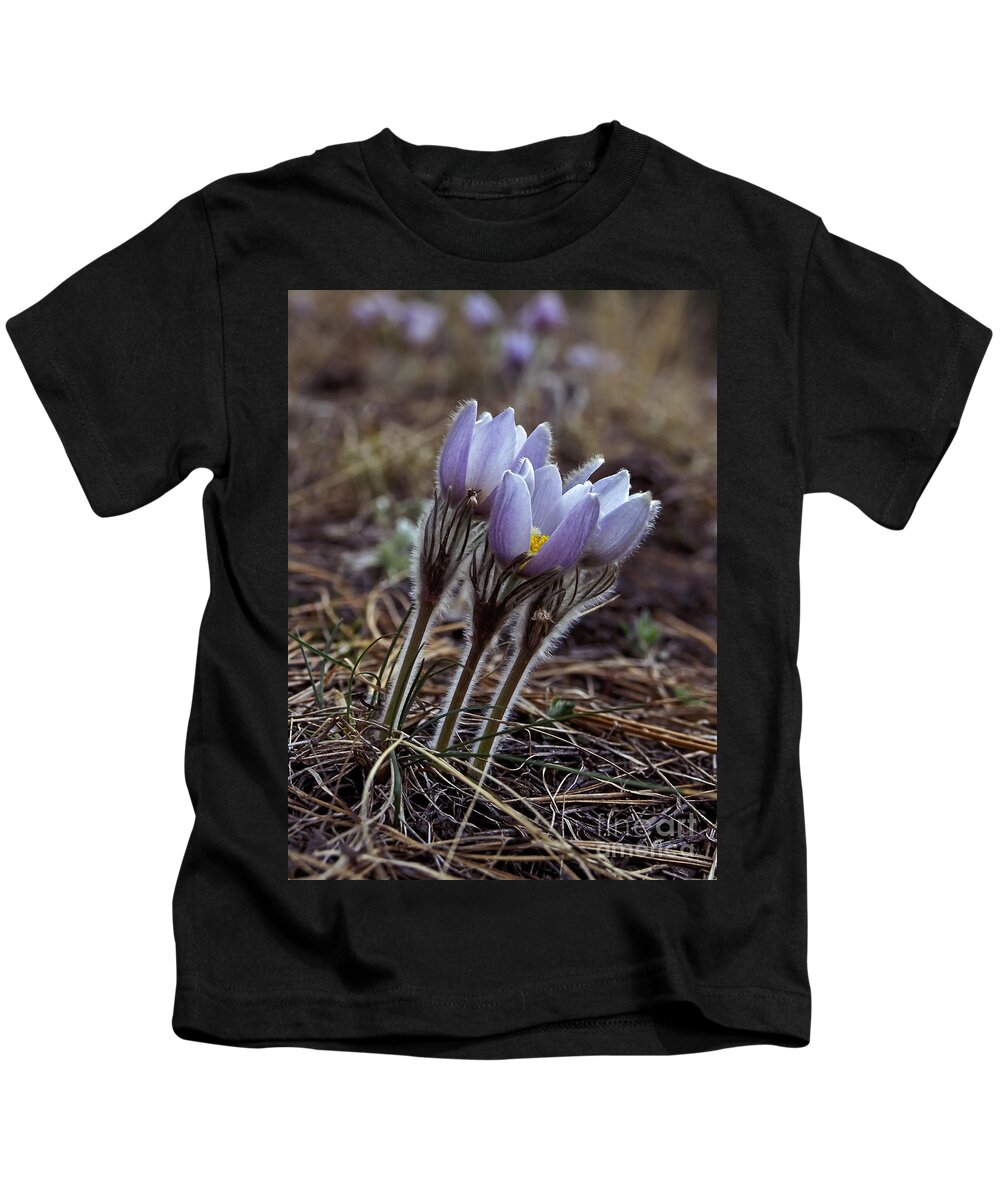 Flowers Kids T-Shirt featuring the photograph Pasque flower by Steven Ralser