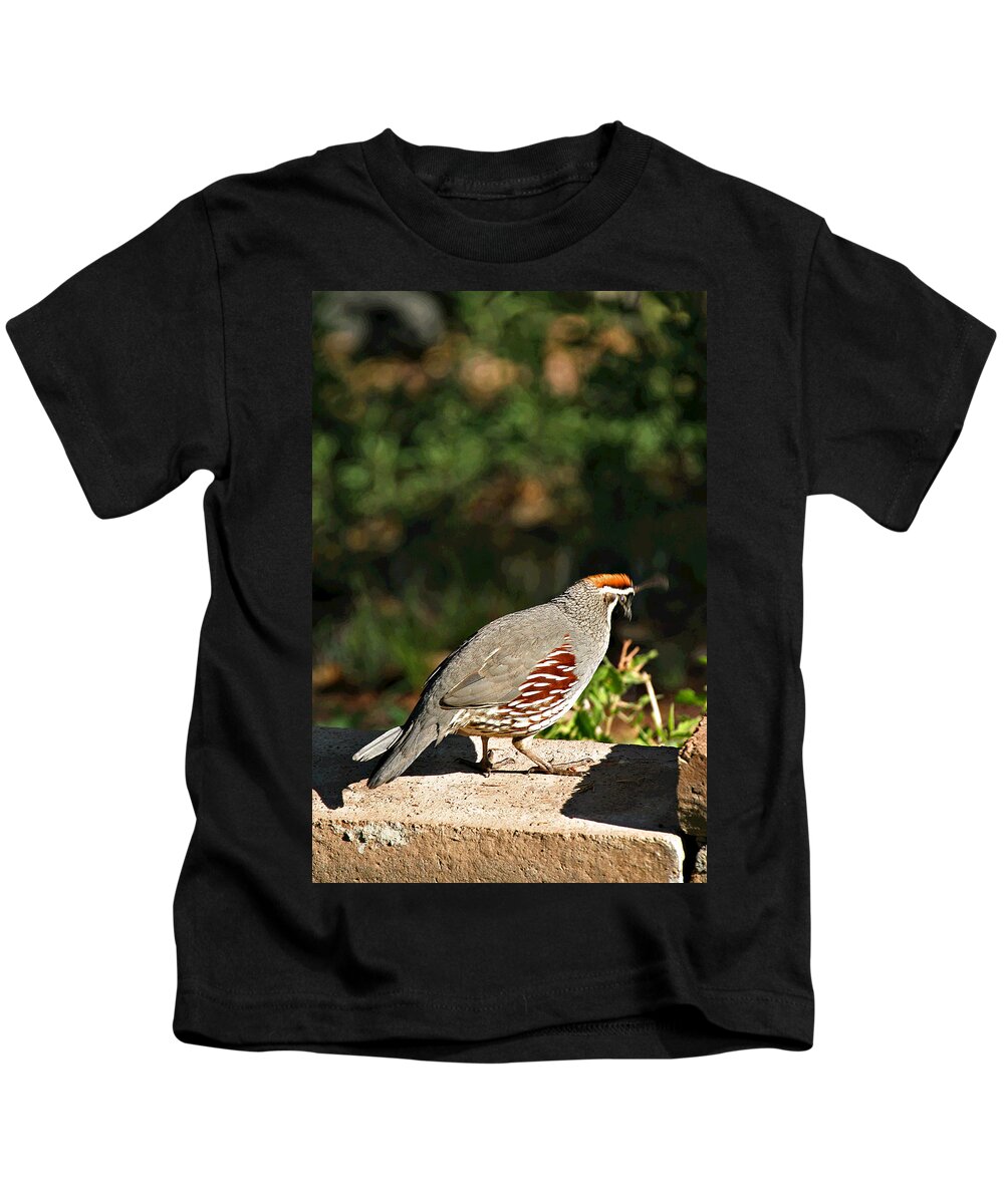 Quail Kids T-Shirt featuring the photograph Quail by Matalyn Gardner