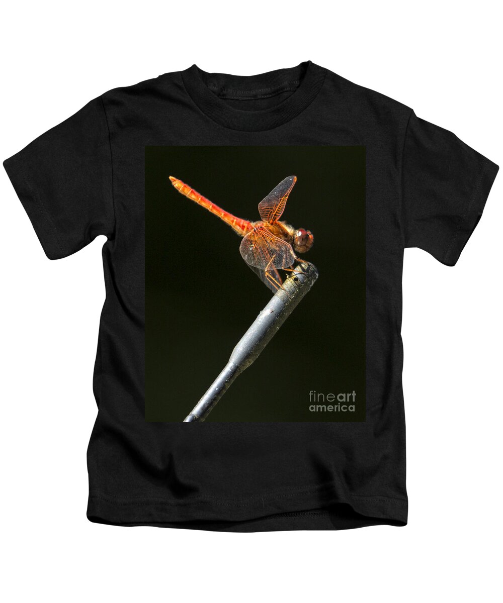 Red Dragonfly Kids T-Shirt featuring the photograph Red Dragonfly on an Antenna by Belinda Greb