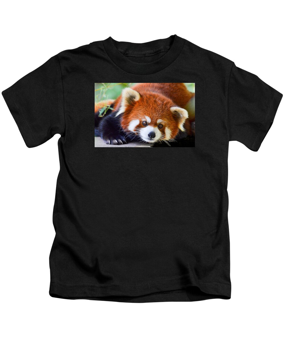 Red Panda Bear Kids T-Shirt featuring the photograph Red Panda by Michael Hubley