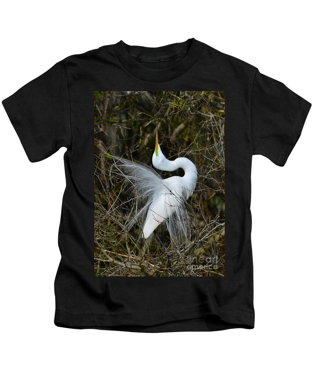 Great Egret Kids T-Shirt featuring the photograph Rituals Of Courtship by Kathy Baccari