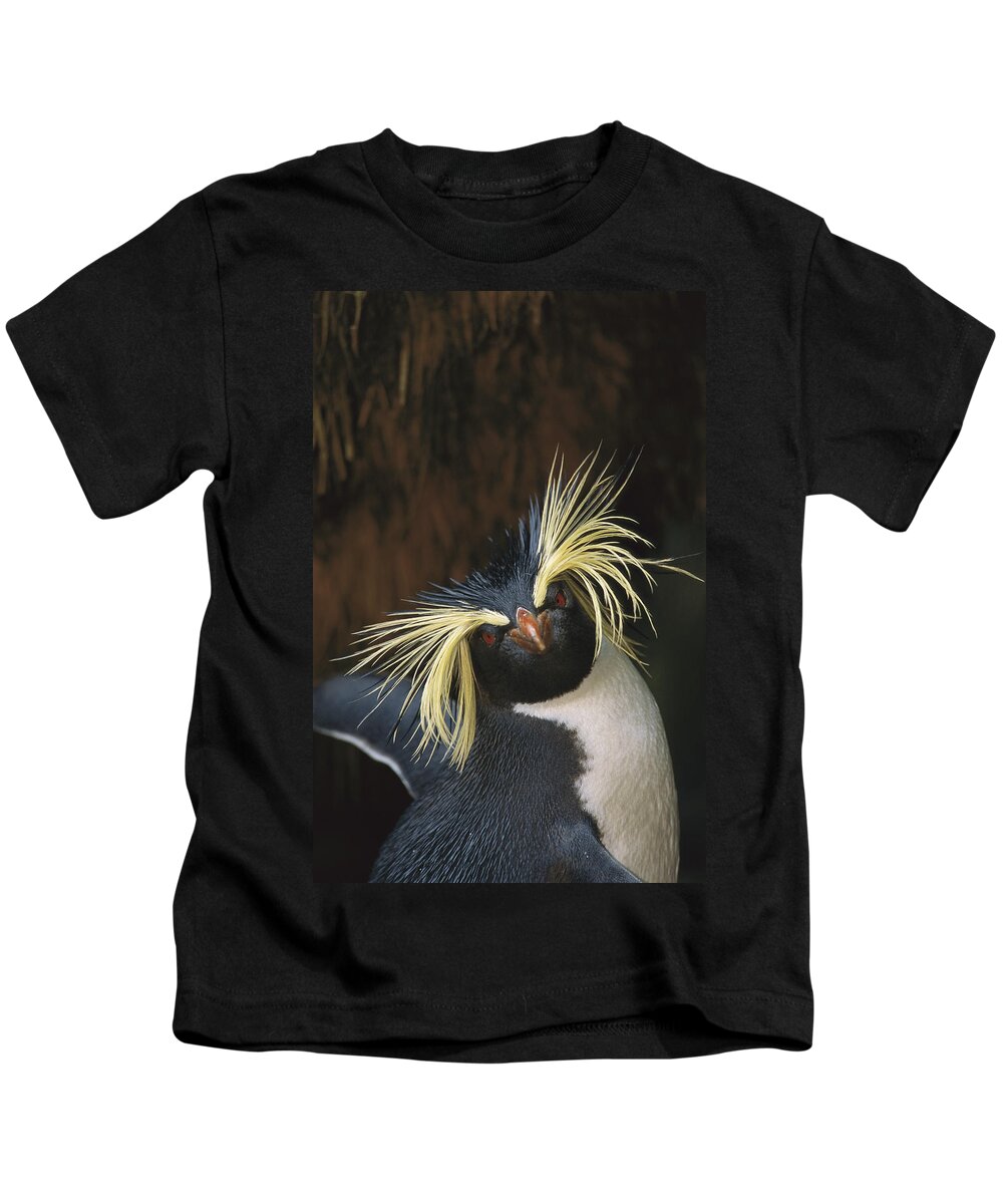 Feb0514 Kids T-Shirt featuring the photograph Rockhopper Penguin Portrait Gough Island by Tui De Roy